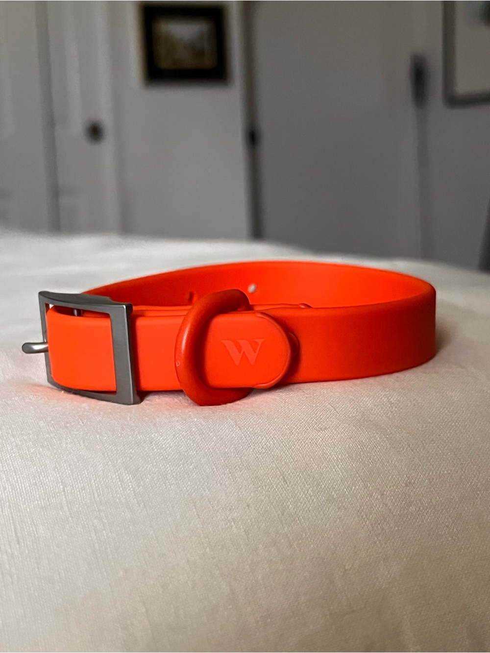 Wild One Waterproof Dog Collar Blaze Orange Small